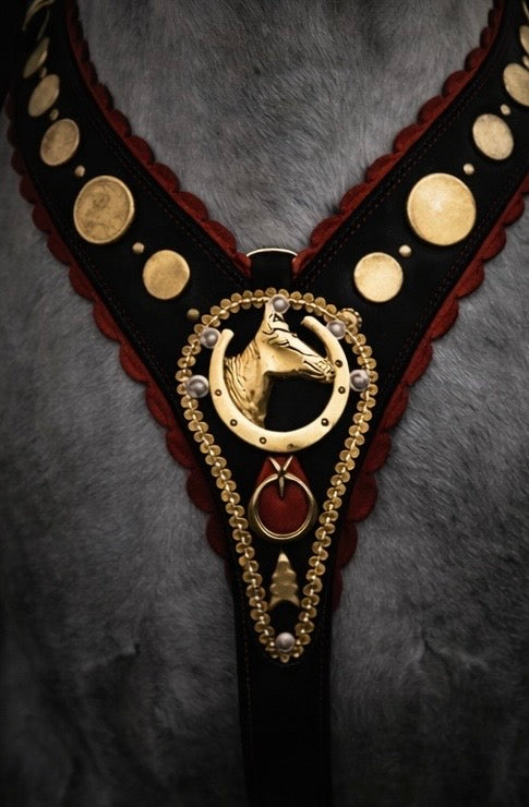 Doğal Deriden Üretilmiş Bu VIP Gim Takımı