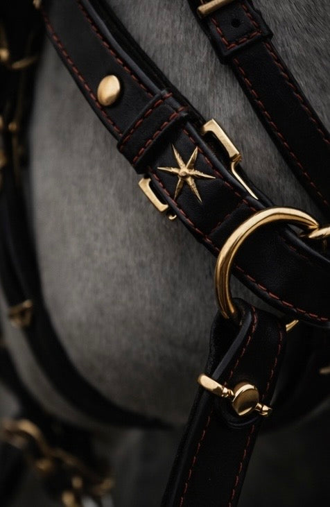 Doğal Deriden Üretilmiş Bu VIP Gim Takımı