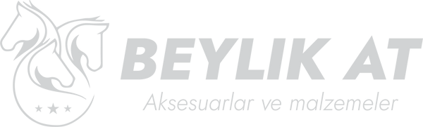 Beylik at